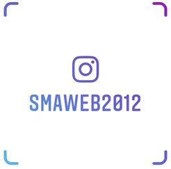 SMARTWEB,スマートウェブ